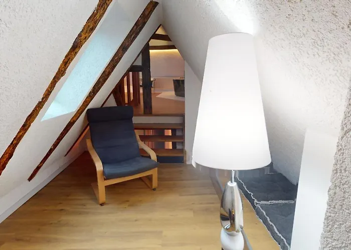 Appartement La Balade De Molly Colmar