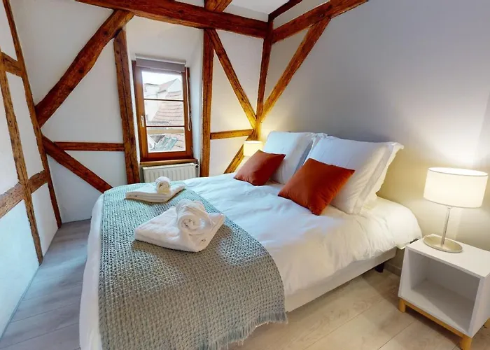 Appartement La Balade De Molly Colmar